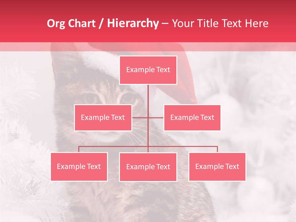 Postcard Kitty White PowerPoint Template