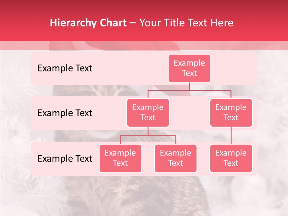 Postcard Kitty White PowerPoint Template