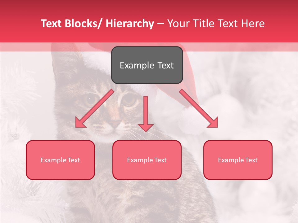 Postcard Kitty White PowerPoint Template