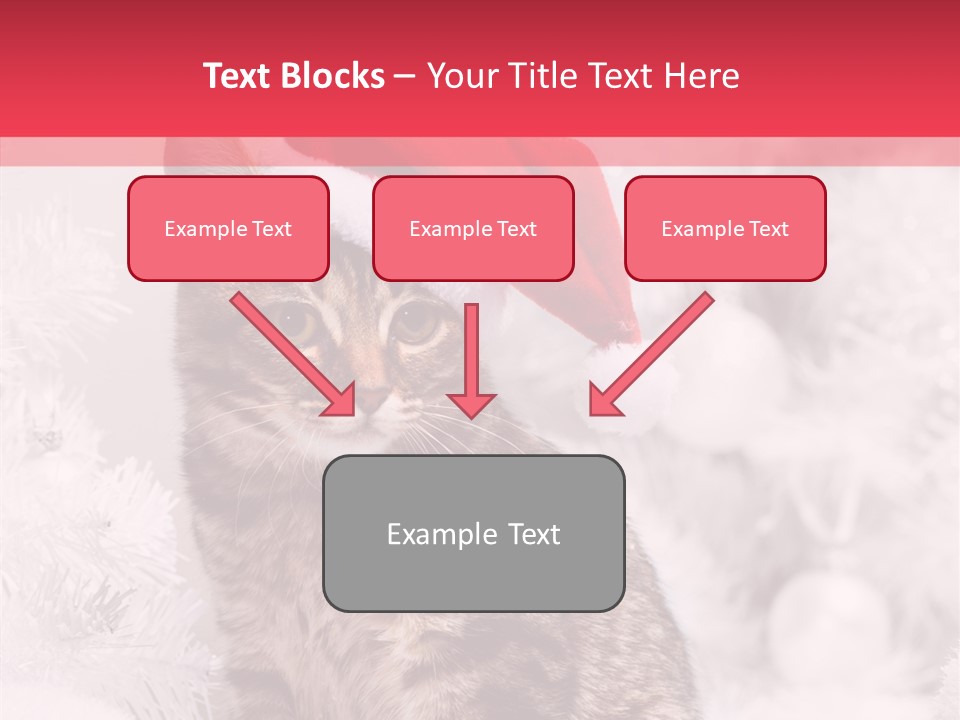 Postcard Kitty White PowerPoint Template