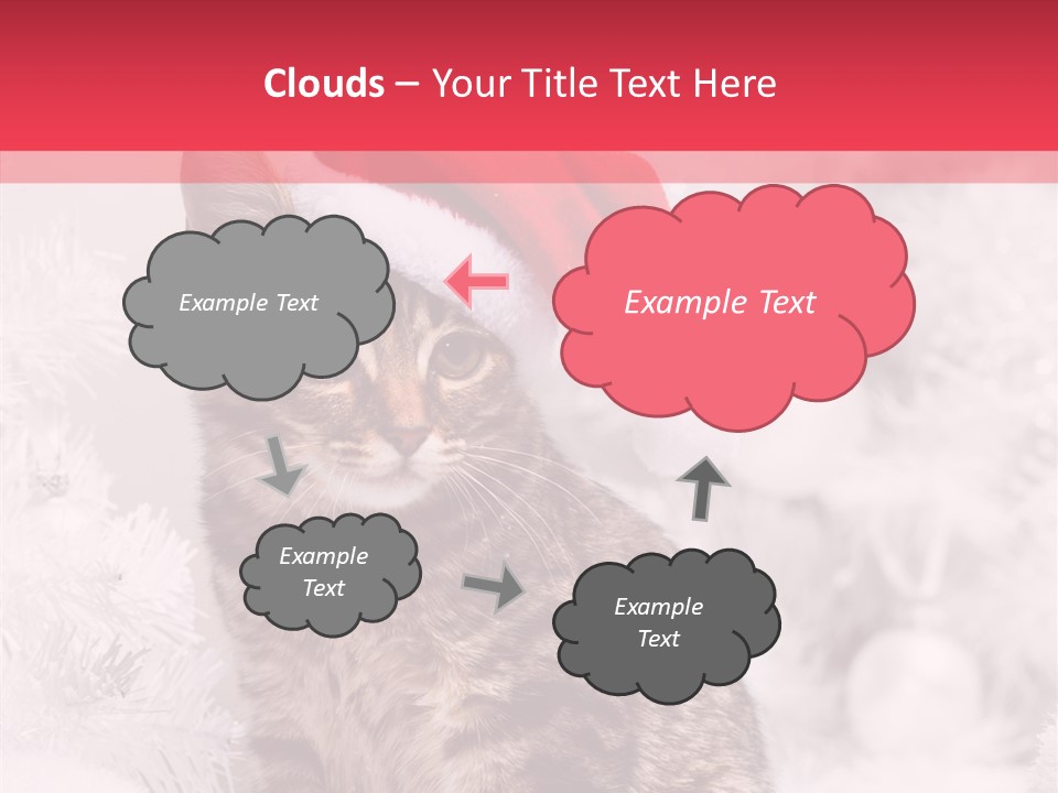 Postcard Kitty White PowerPoint Template