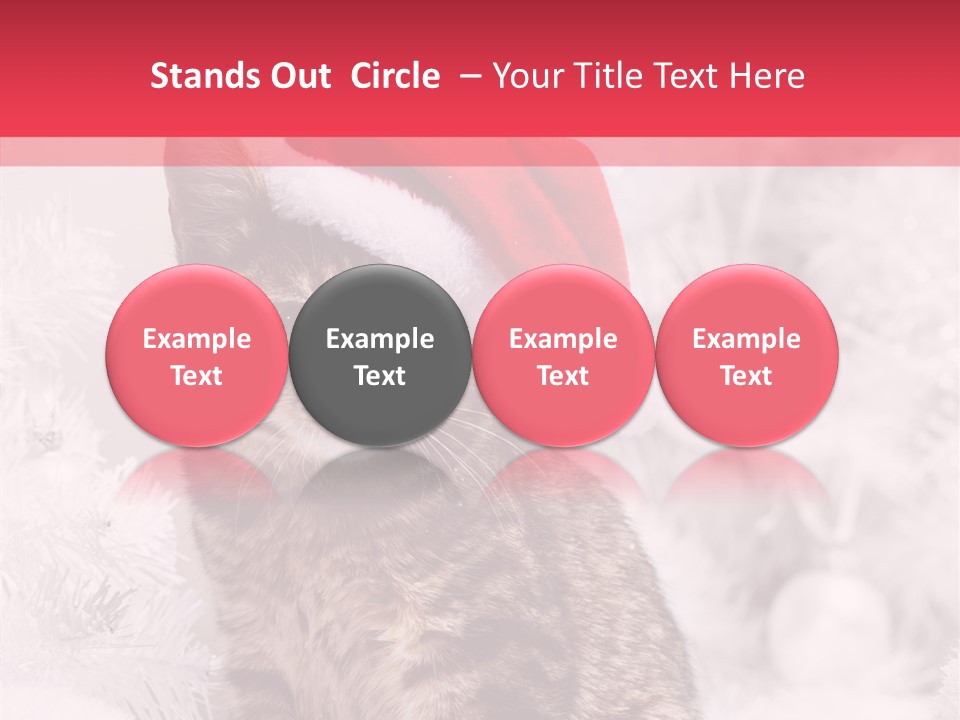 Postcard Kitty White PowerPoint Template