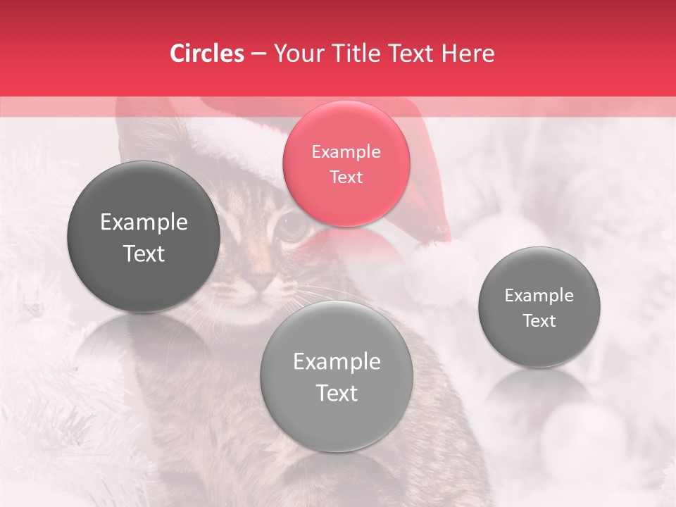 Postcard Kitty White PowerPoint Template