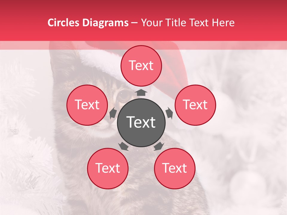 Postcard Kitty White PowerPoint Template