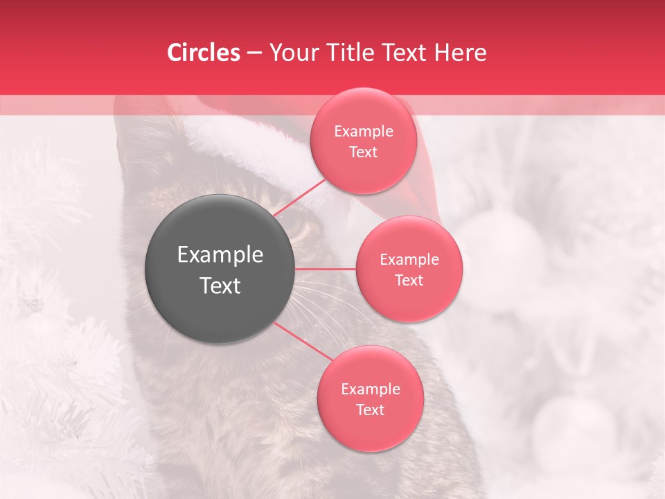 Postcard Kitty White PowerPoint Template