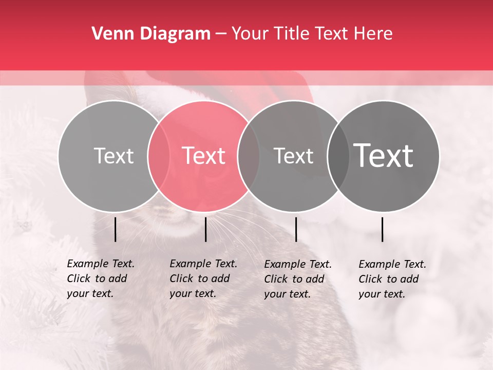 Postcard Kitty White PowerPoint Template