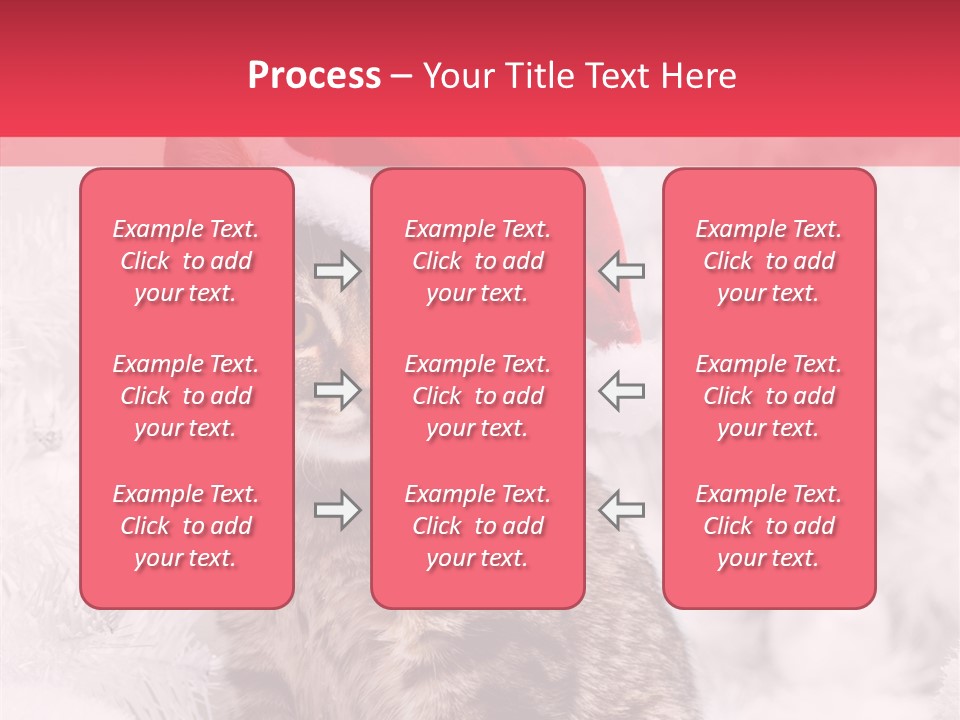 Postcard Kitty White PowerPoint Template