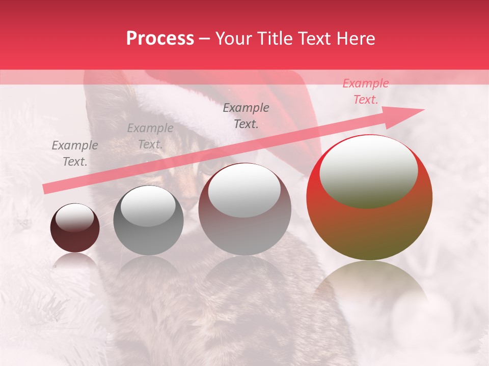 Postcard Kitty White PowerPoint Template