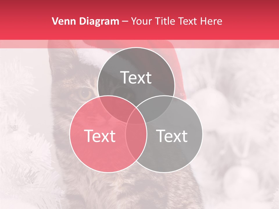 Postcard Kitty White PowerPoint Template