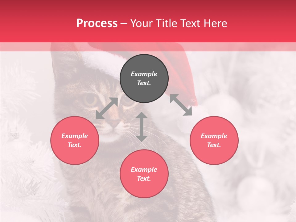 Postcard Kitty White PowerPoint Template