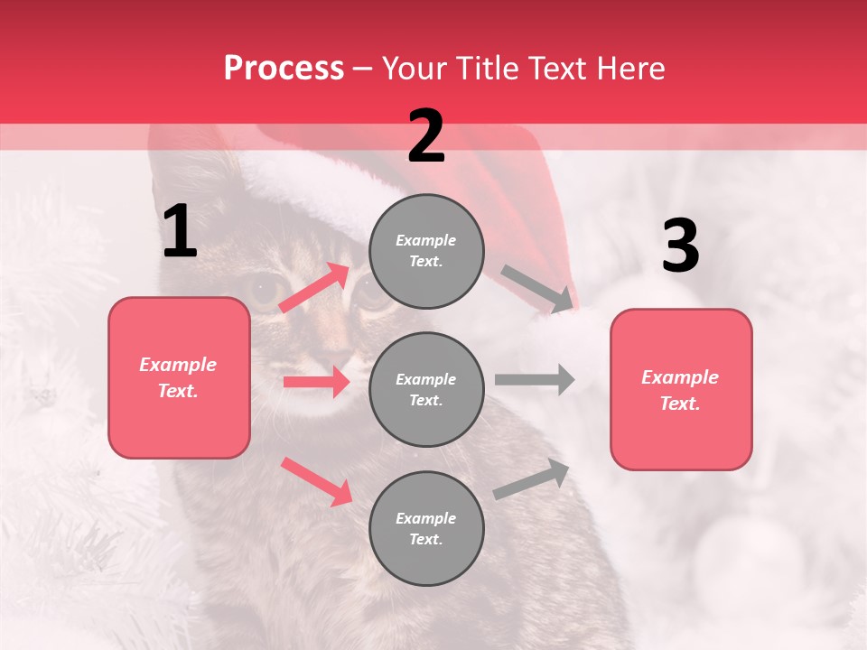 Postcard Kitty White PowerPoint Template