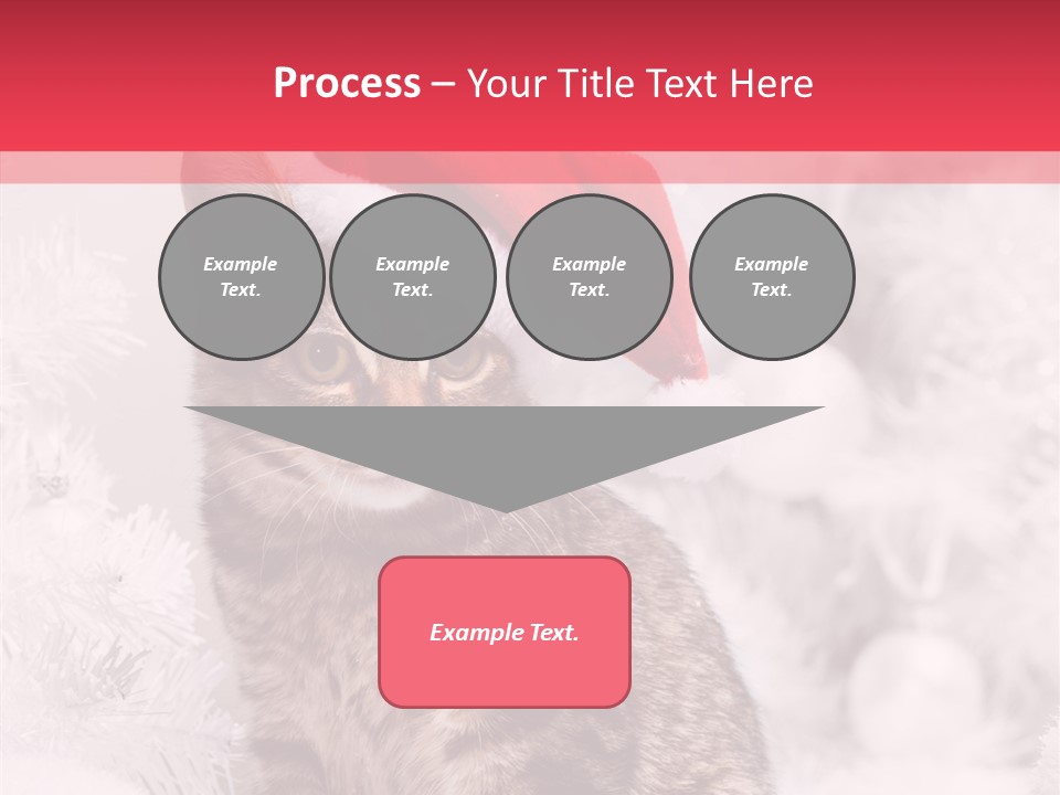 Postcard Kitty White PowerPoint Template