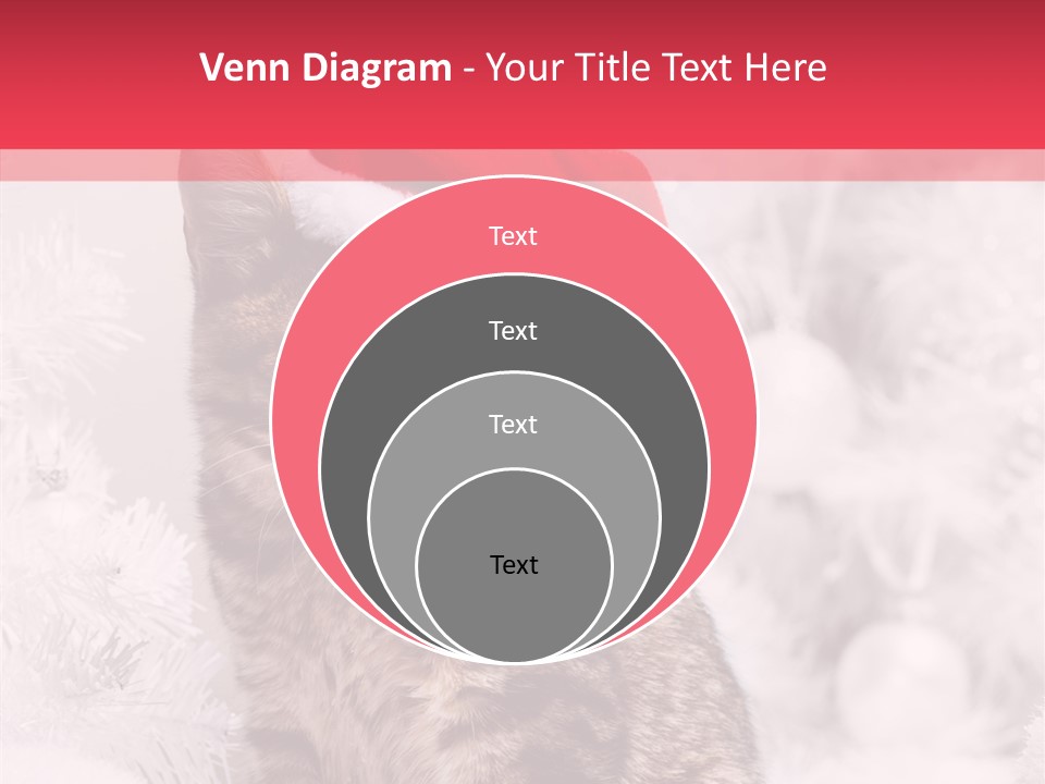 Postcard Kitty White PowerPoint Template