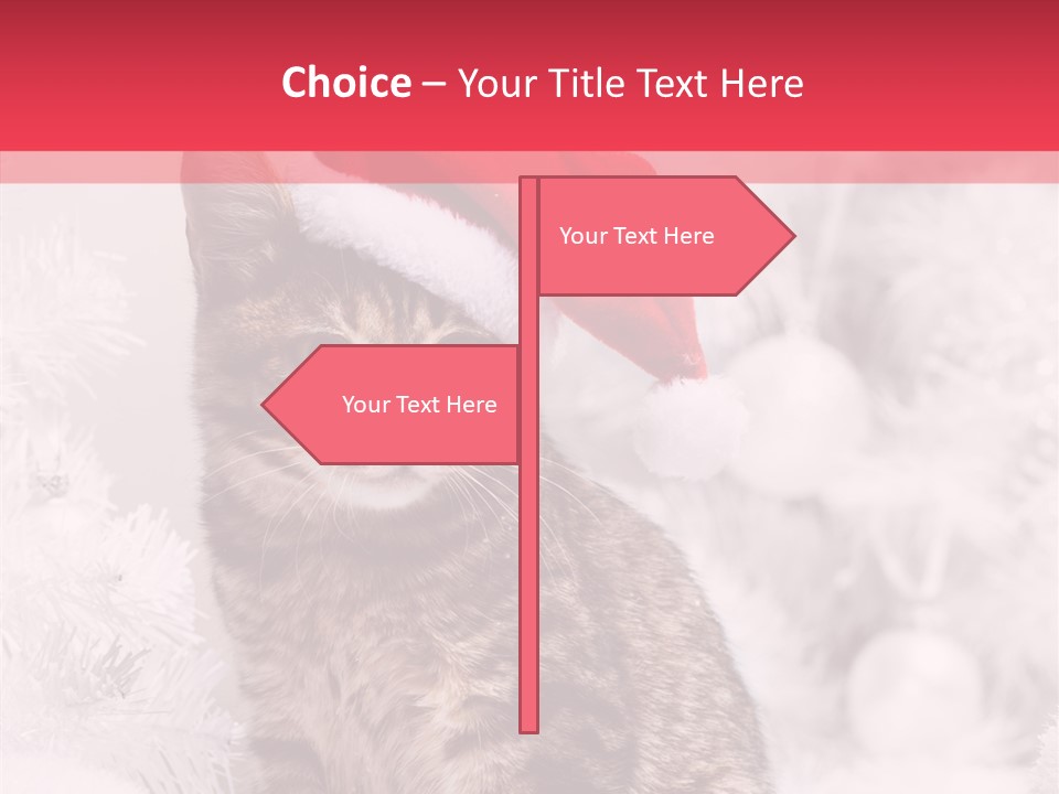 Postcard Kitty White PowerPoint Template