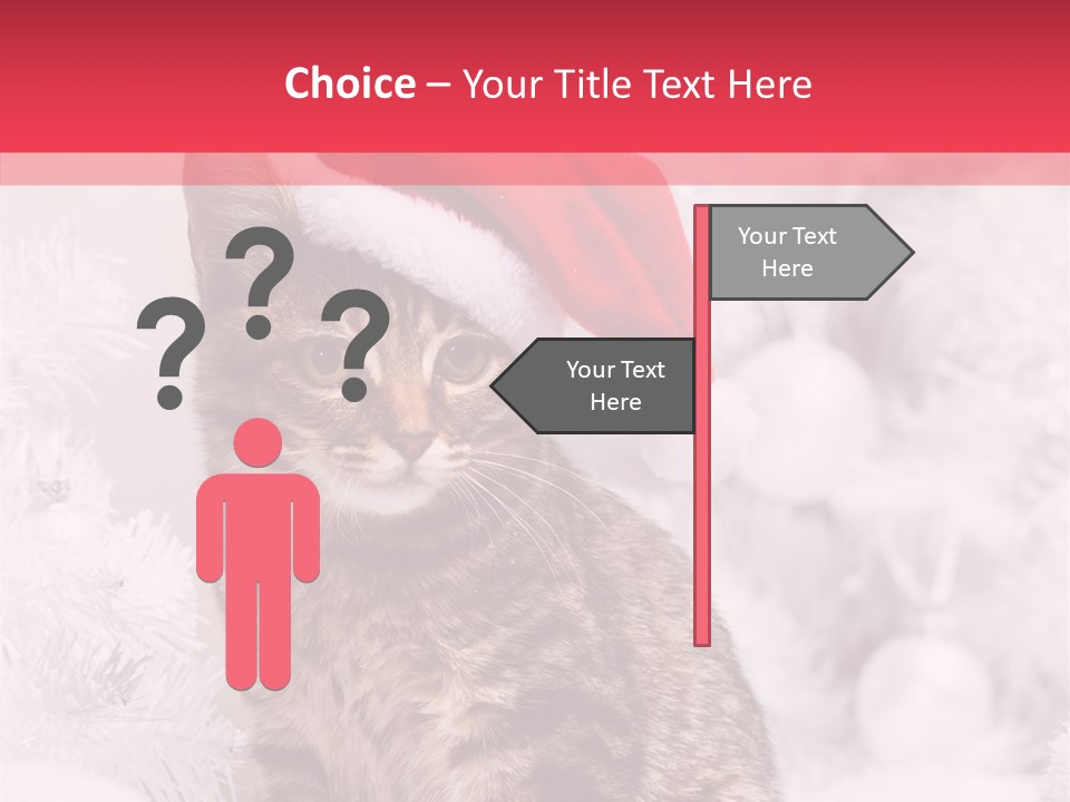 Postcard Kitty White PowerPoint Template