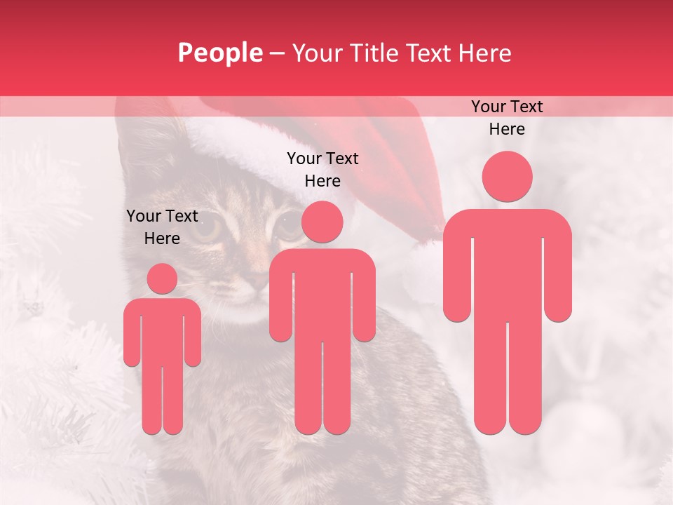 Postcard Kitty White PowerPoint Template