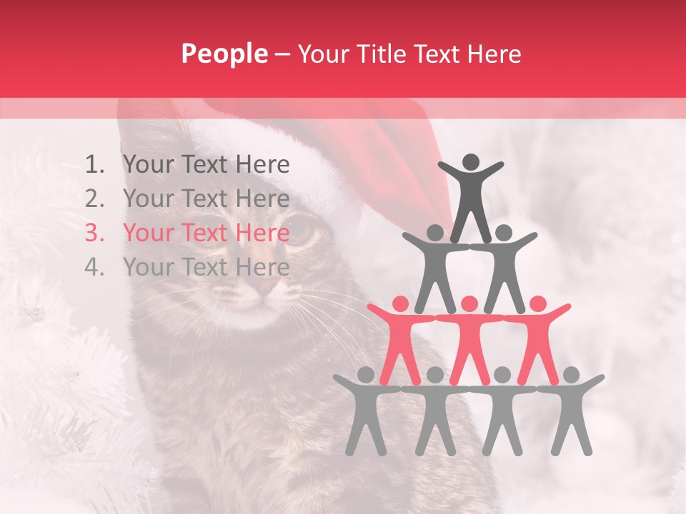 Postcard Kitty White PowerPoint Template