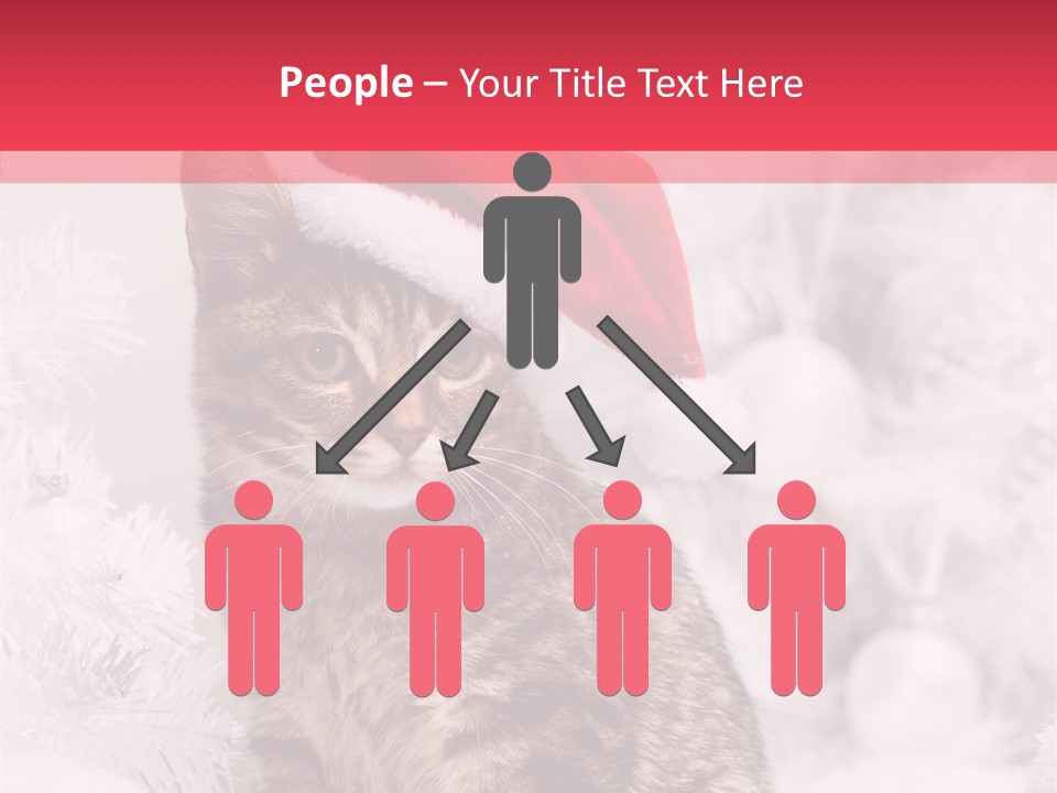 Postcard Kitty White PowerPoint Template