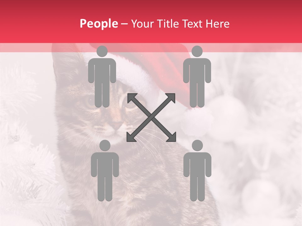 Postcard Kitty White PowerPoint Template