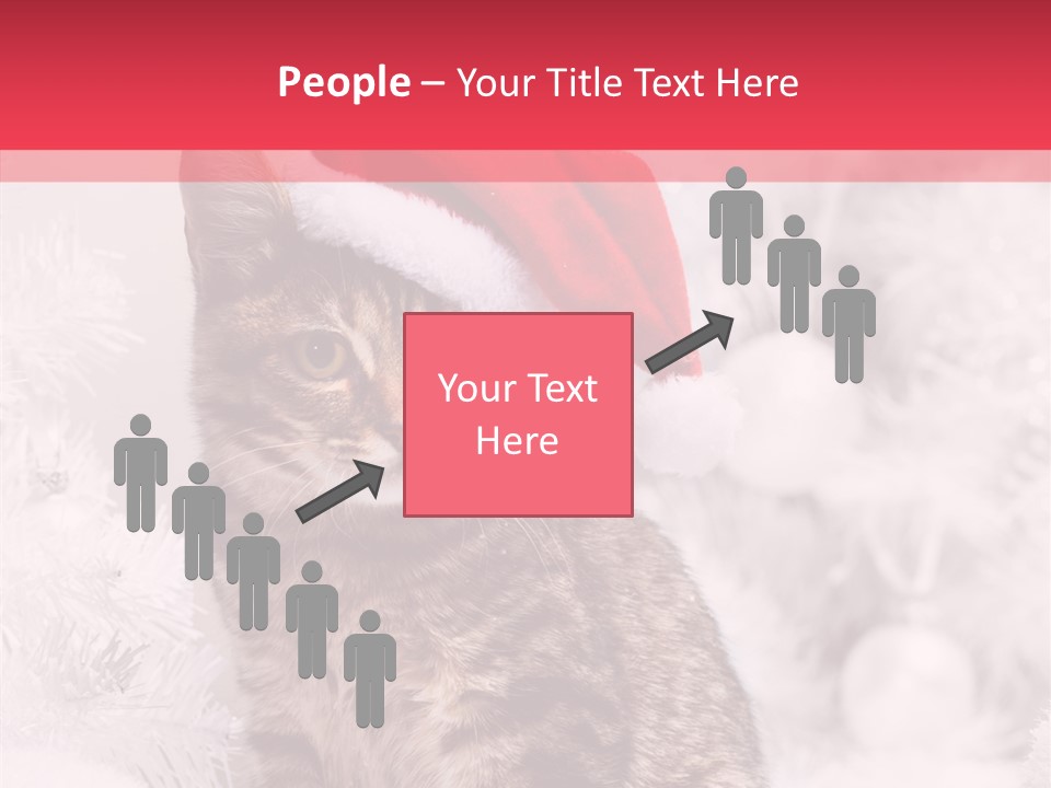 Postcard Kitty White PowerPoint Template