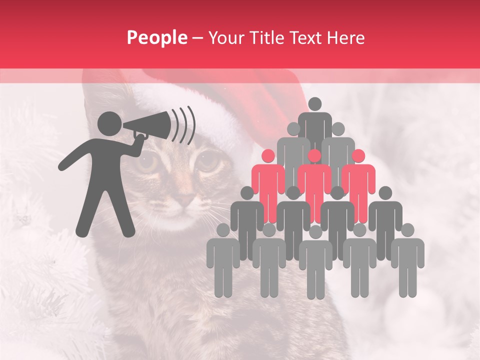 Postcard Kitty White PowerPoint Template