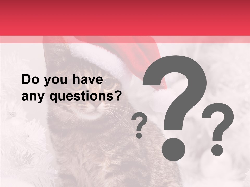 Postcard Kitty White PowerPoint Template