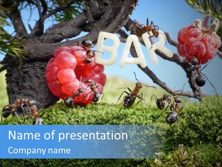 Fantasy Juice Insects PowerPoint Template