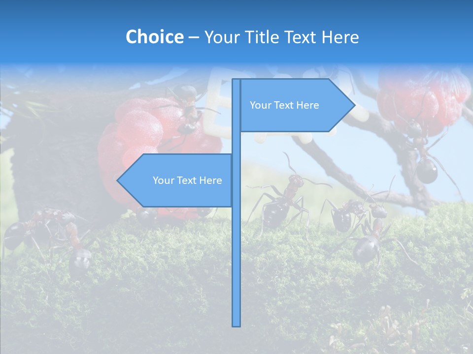 Fantasy Juice Insects PowerPoint Template