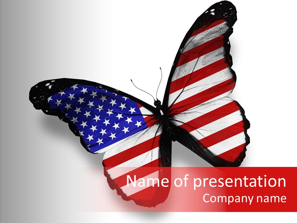 Wings Usa Collection PowerPoint Template