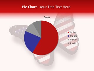 Wings Usa Collection PowerPoint Template