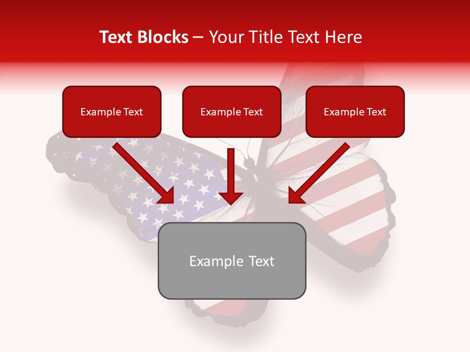 Wings Usa Collection PowerPoint Template