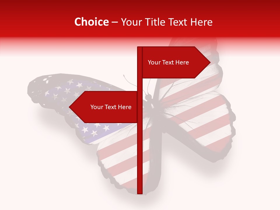 Wings Usa Collection PowerPoint Template
