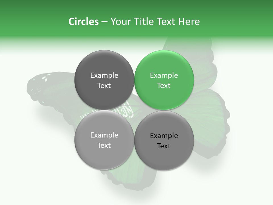 Independence Spring Flying PowerPoint Template