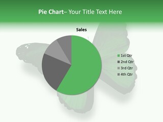 Independence Spring Flying PowerPoint Template