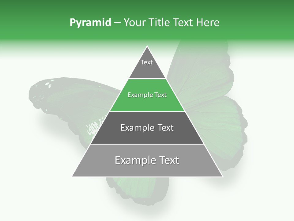 Independence Spring Flying PowerPoint Template