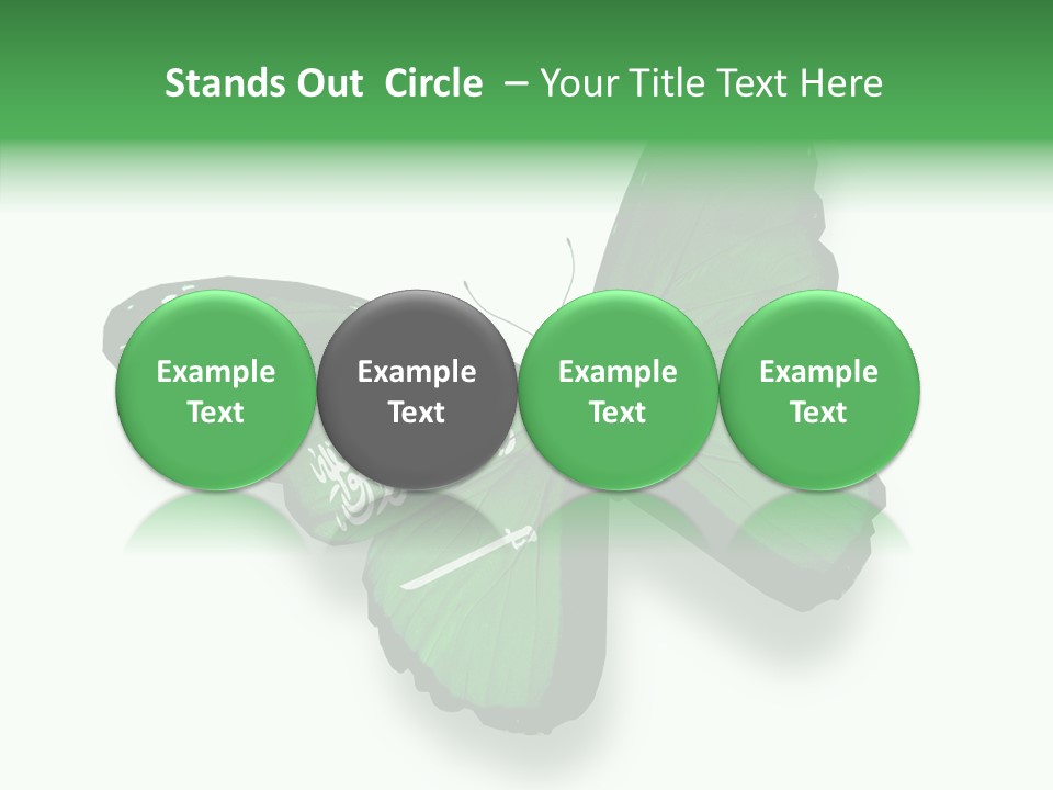 Independence Spring Flying PowerPoint Template