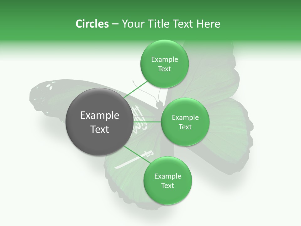 Independence Spring Flying PowerPoint Template