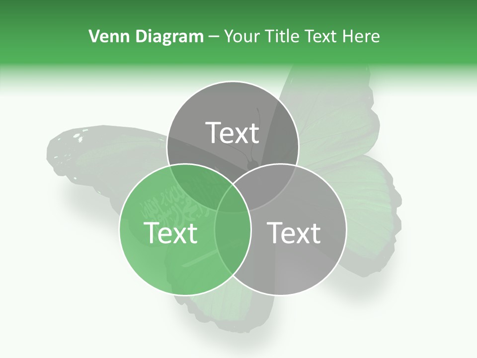 Independence Spring Flying PowerPoint Template