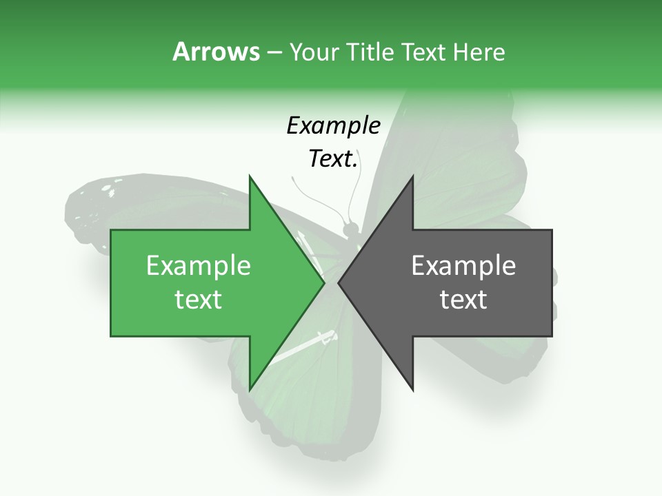 Independence Spring Flying PowerPoint Template