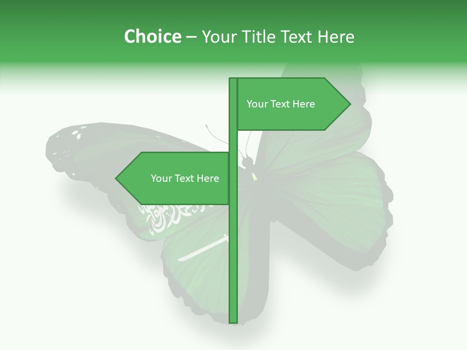 Independence Spring Flying PowerPoint Template