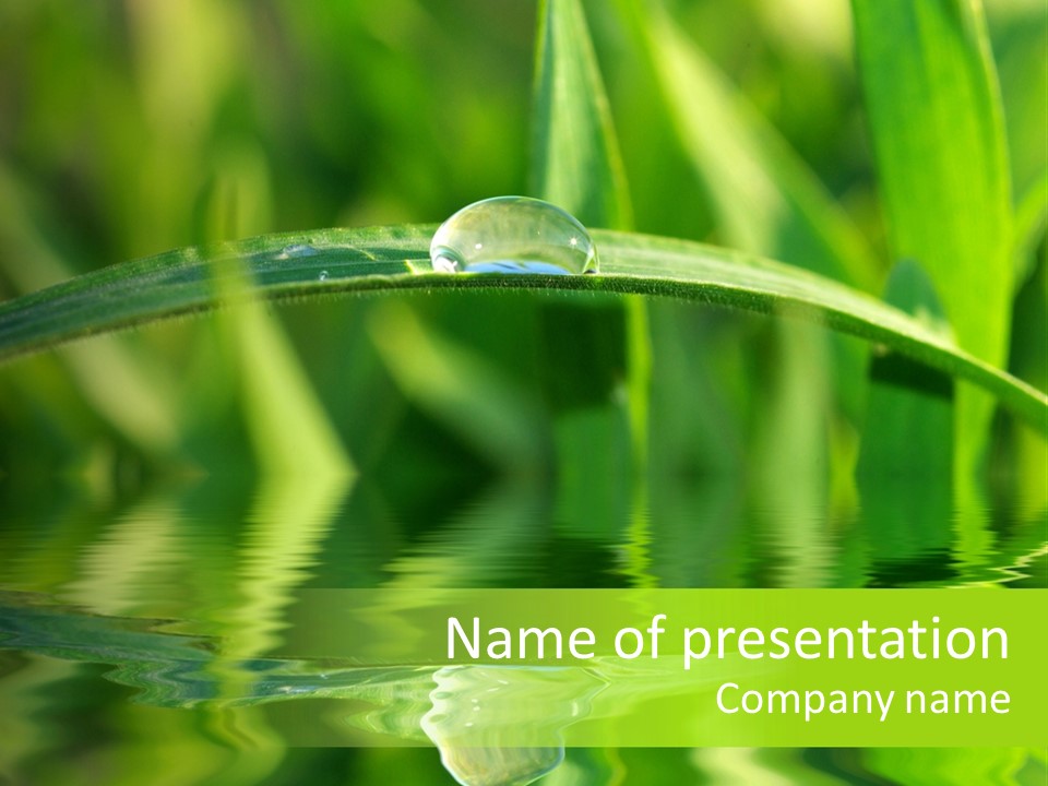 Purity Fresh Green PowerPoint Template