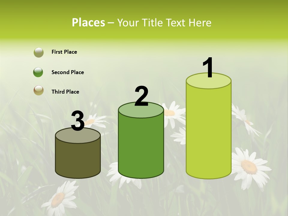 Daisy Beauty Herbal PowerPoint Template