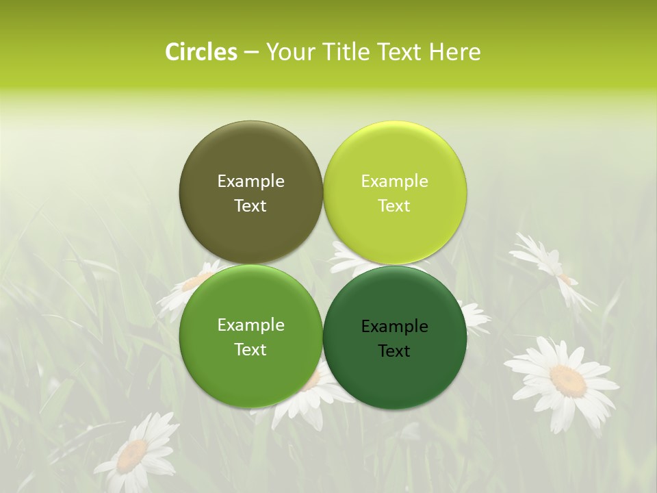 Daisy Beauty Herbal PowerPoint Template