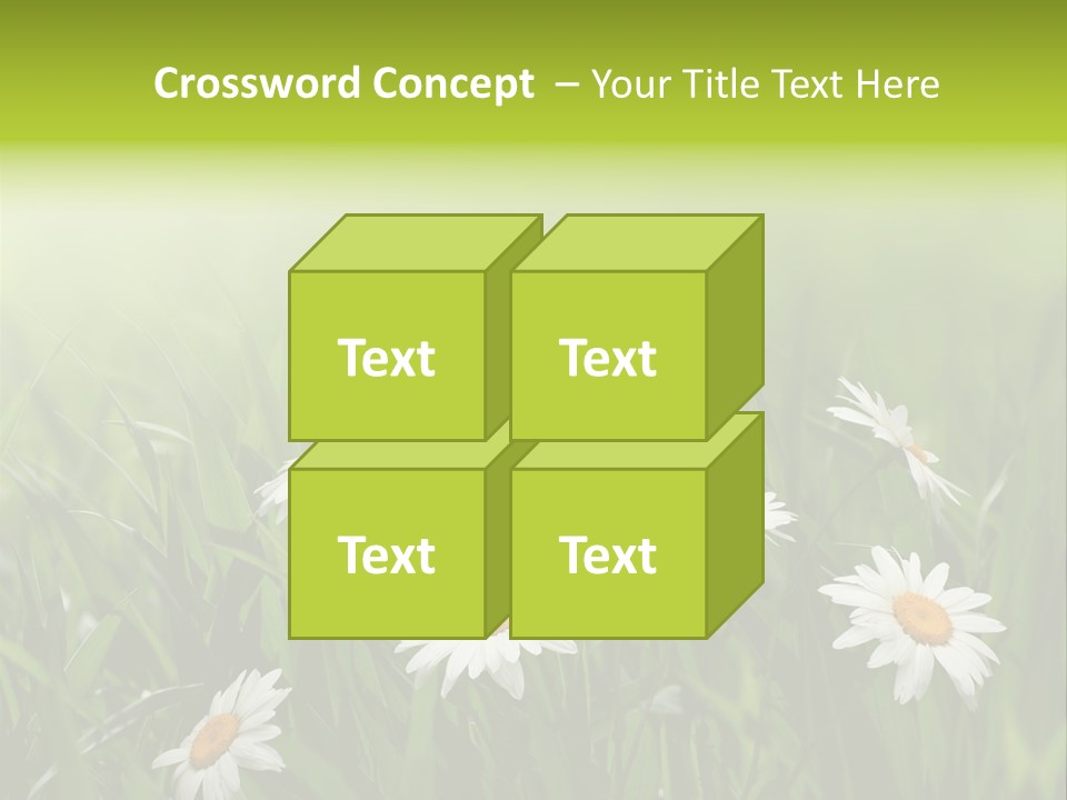 Daisy Beauty Herbal PowerPoint Template