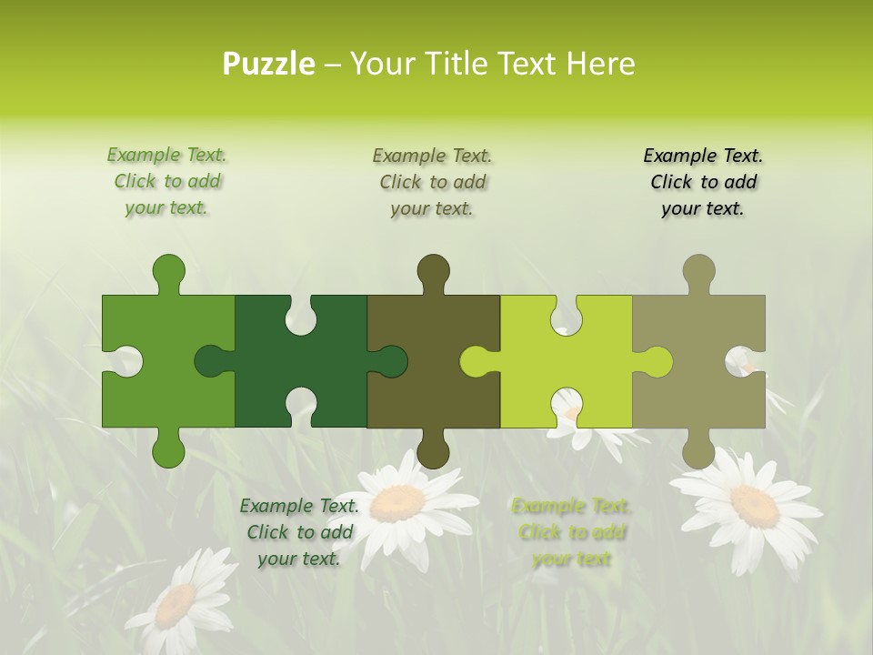 Daisy Beauty Herbal PowerPoint Template