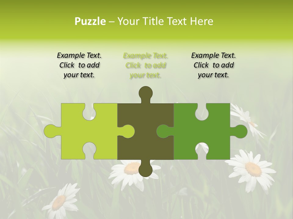 Daisy Beauty Herbal PowerPoint Template