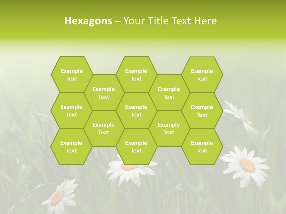 Daisy Beauty Herbal PowerPoint Template