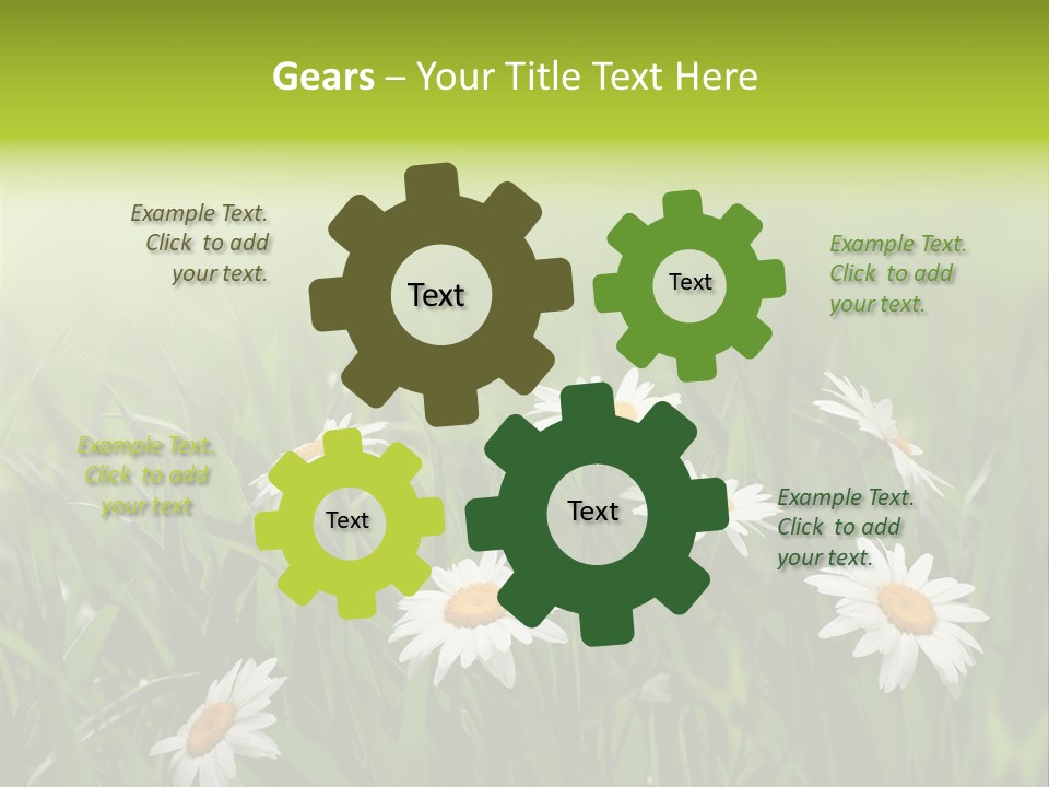 Daisy Beauty Herbal PowerPoint Template