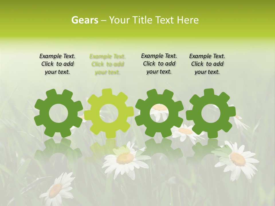 Daisy Beauty Herbal PowerPoint Template