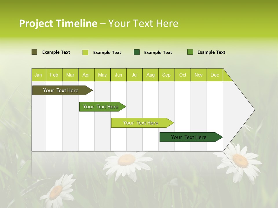 Daisy Beauty Herbal PowerPoint Template